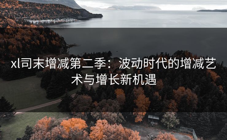 xl司末增减第二季：波动时代的增减艺术与增长新机遇
