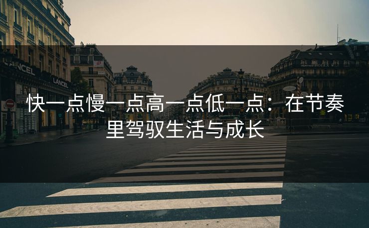 快一点慢一点高一点低一点：在节奏里驾驭生活与成长