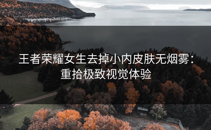 王者荣耀女生去掉小内皮肤无烟雾：重拾极致视觉体验