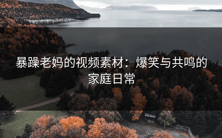 暴躁老妈的视频素材：爆笑与共鸣的家庭日常