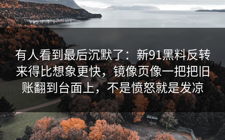 有人看到最后沉默了：新91黑料反转来得比想象更快，镜像页像一把把旧账翻到台面上，不是愤怒就是发凉